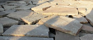 Фото серо-зеленого персчаника ростовской.