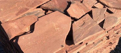 Фото песчантка жаренный мангуст.