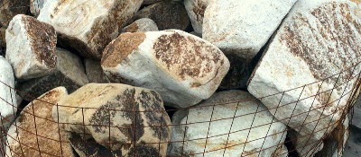 Фото бута галтованного бело-рыжего цвета.