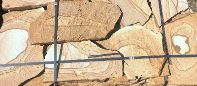 Фото пластушки желтого цвета с заметным рисунком.